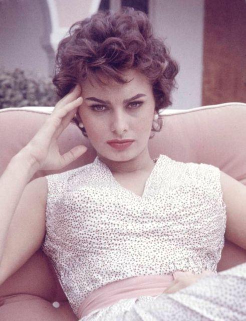 Sophia Loren 8
